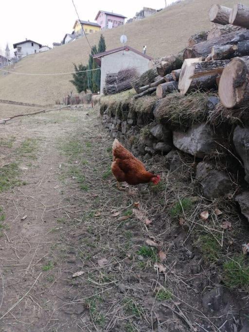 Graziosa, Casetta In Valgerola Rasura Exteriör bild