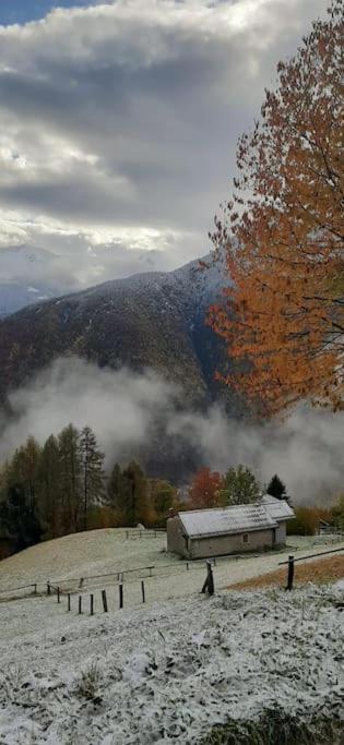 Graziosa, Casetta In Valgerola Rasura Exteriör bild