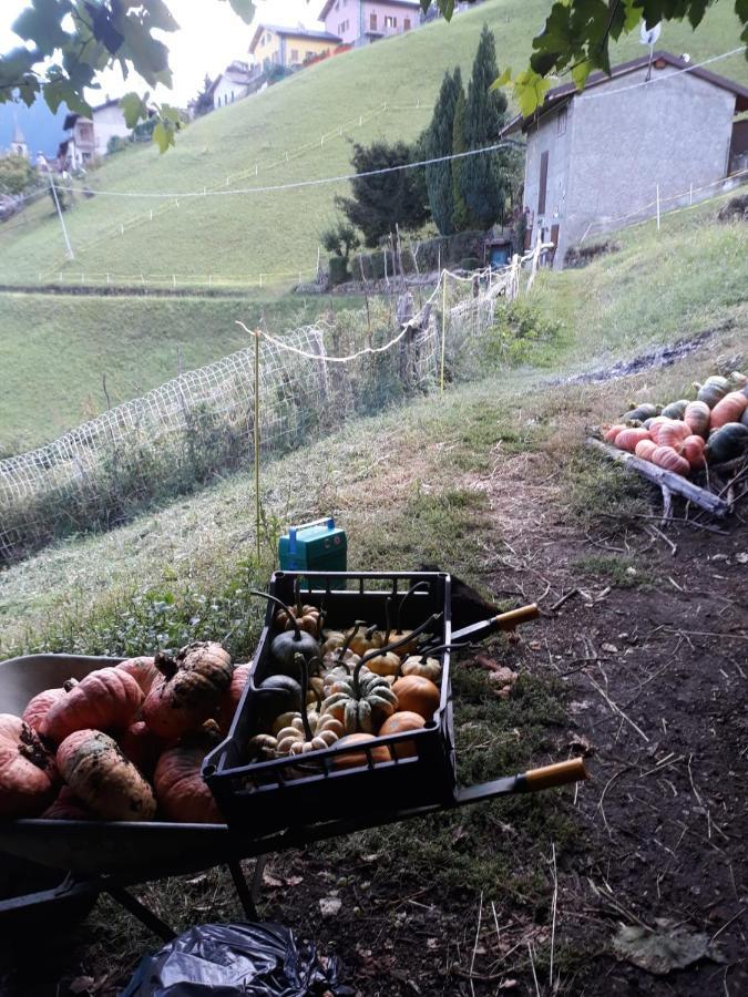 Graziosa, Casetta In Valgerola Rasura Exteriör bild